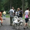 dalmatinerausflug_august_07_31