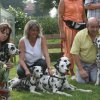 dalmatinerausflug_august_07_69