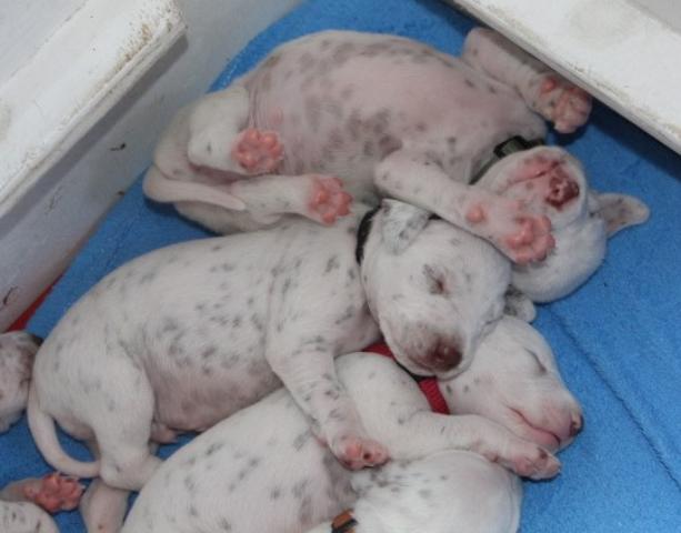 babies 18 Copy