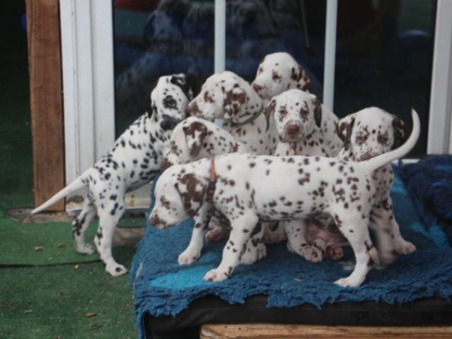 babies 25 Copy
