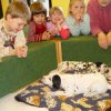 kindergartenbesuch_6_woche_10