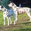 8_woche_1